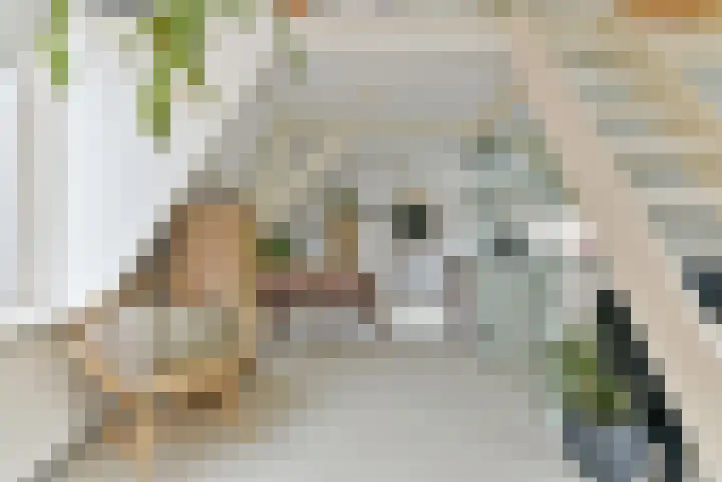 Keizerstraat 49 BS Utrecht thumbnail 14