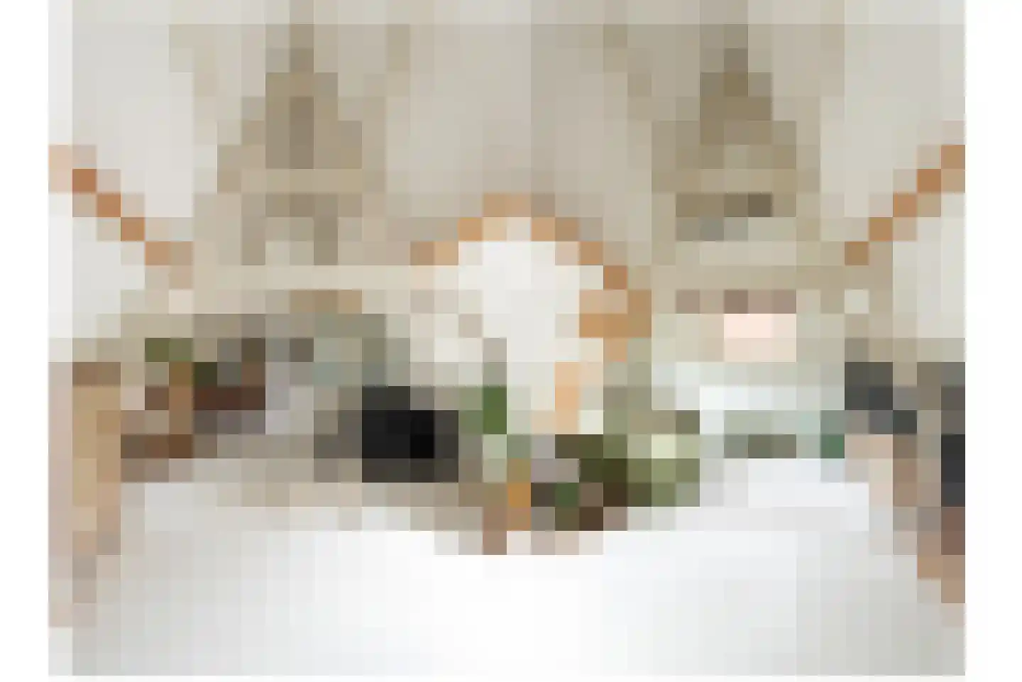 Keizerstraat 49 BS Utrecht thumbnail 20