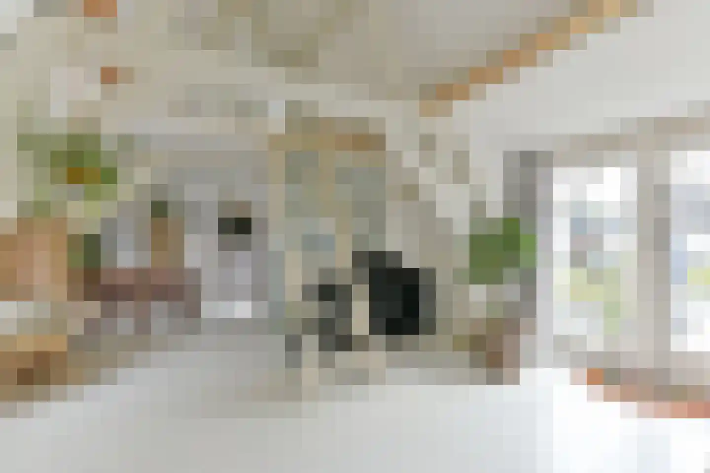 Keizerstraat 49 BS Utrecht thumbnail 21