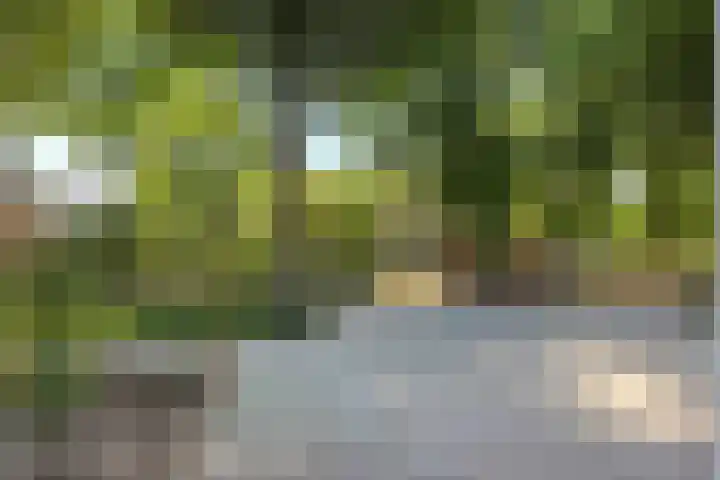 Keizerstraat 50 Someren thumbnail 39