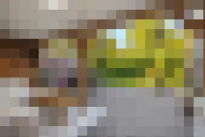 Keizerstraat 50 Someren thumbnail 4