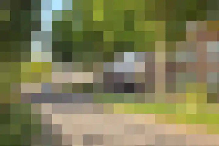Keizerstraat 50 Someren thumbnail 42