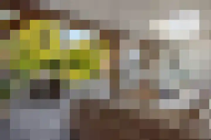 Keizerstraat 50 Someren thumbnail 5