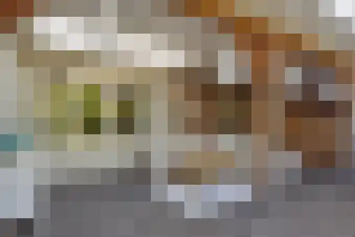 Keizerstraat 50 Someren thumbnail 6