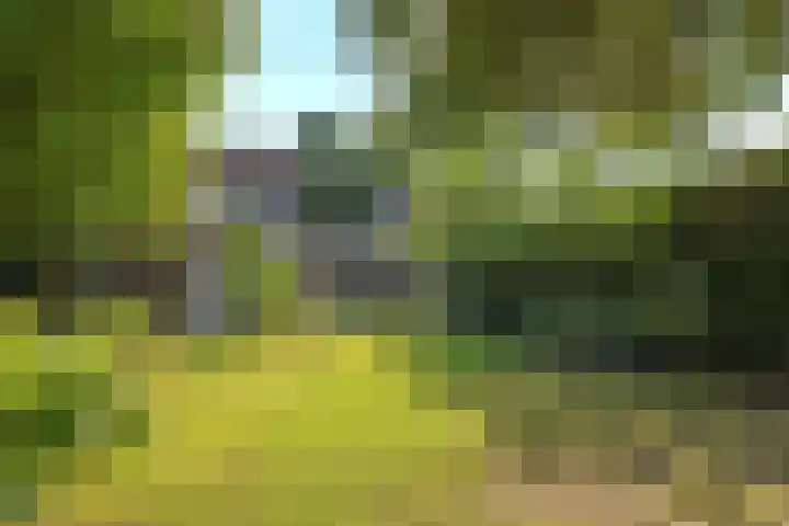 Keizerstraat 50 Someren thumbnail 8