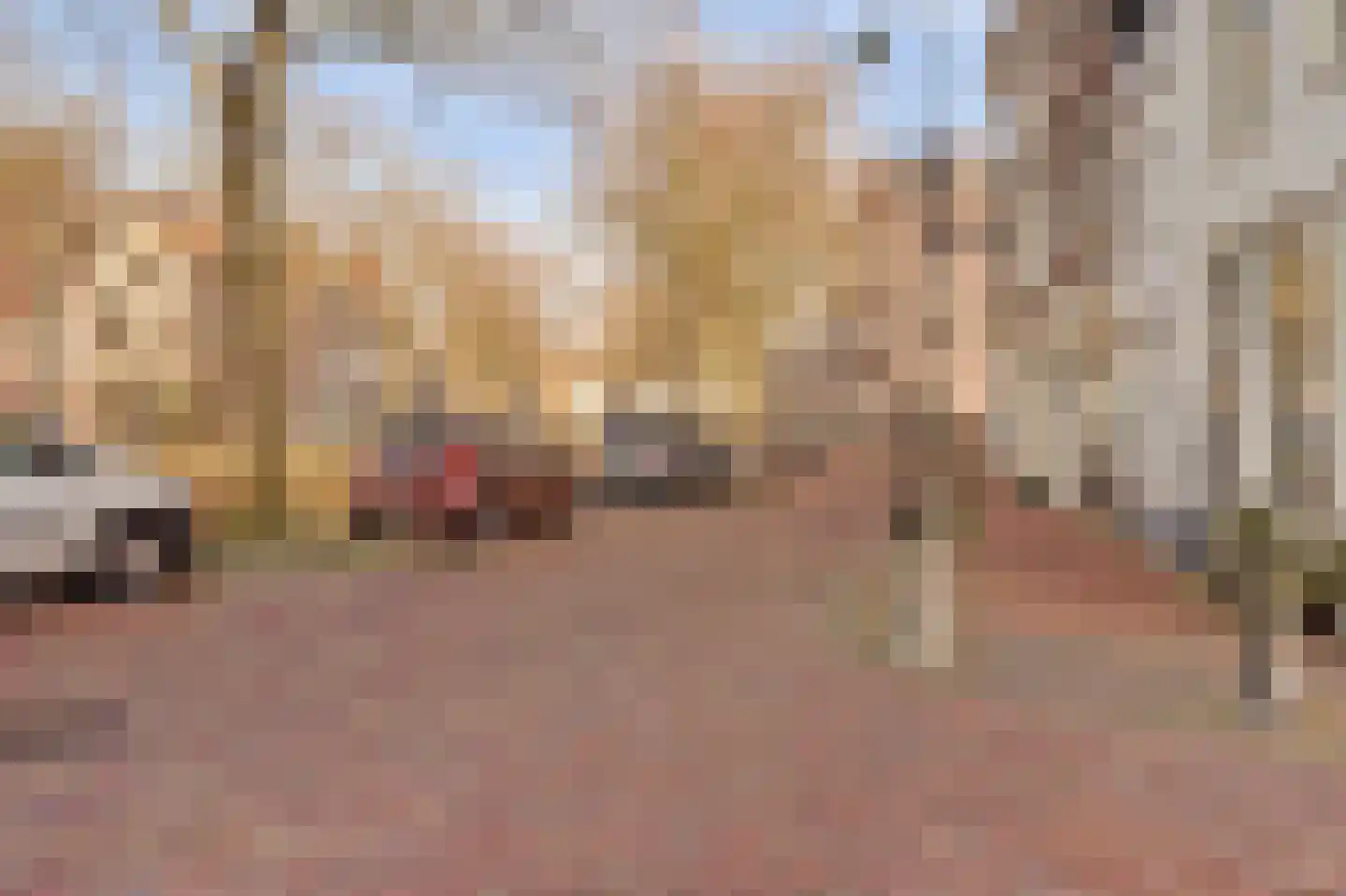 Keizerstraat 52 Gouda thumbnail 38