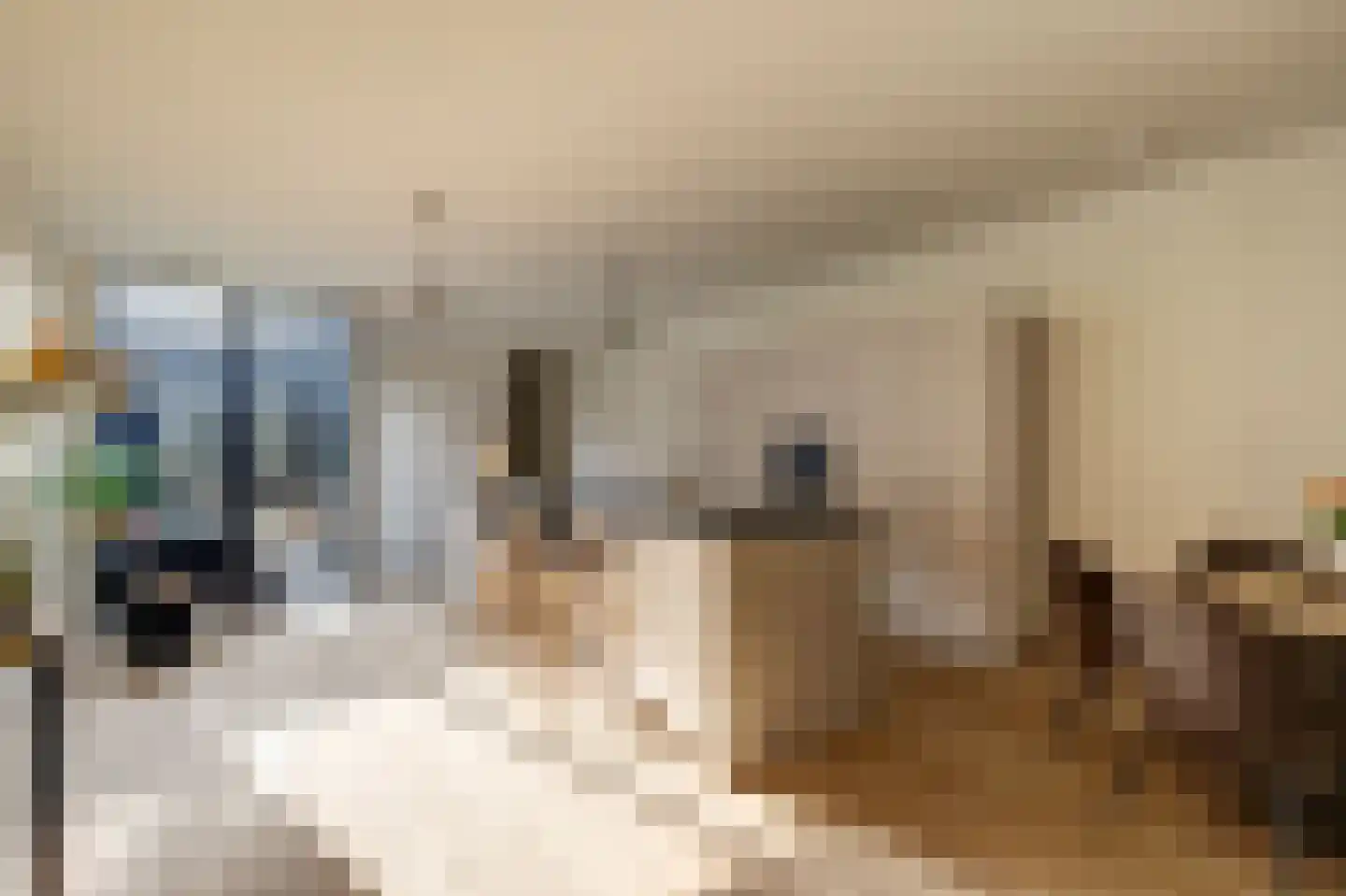 Keizerstraat 52 Gouda thumbnail 8