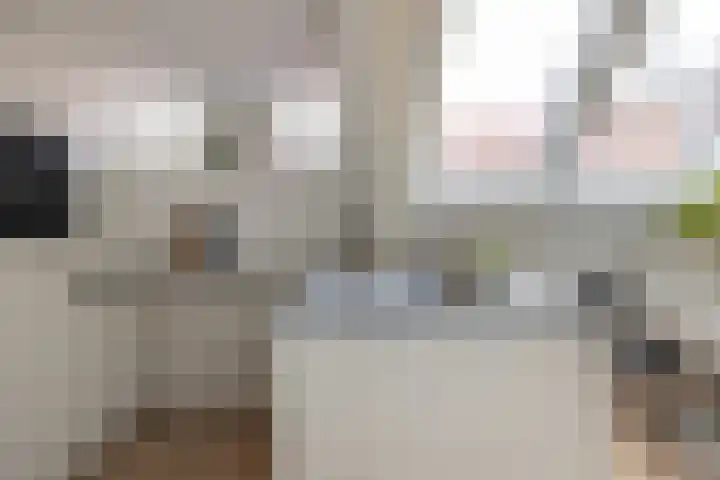 Keizerstraat 54 a Gouda thumbnail 9