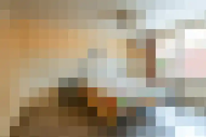 Keizerstraat 55 Putte thumbnail 15