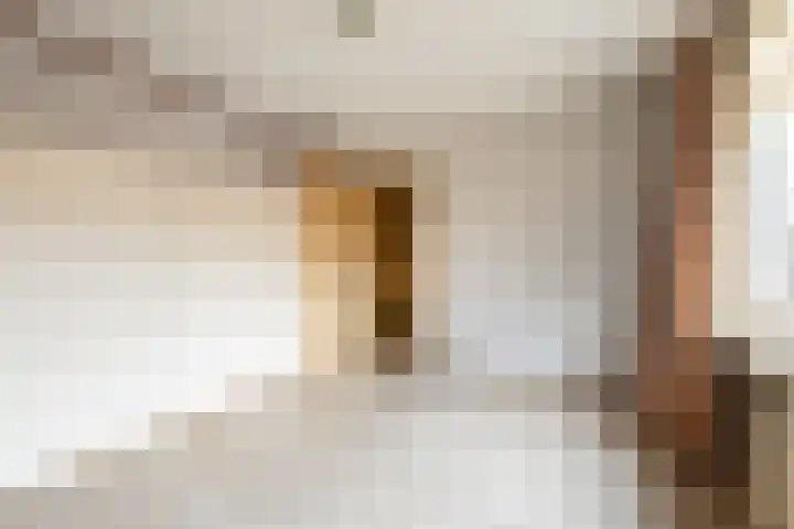 Keizerstraat 55 Putte thumbnail 18