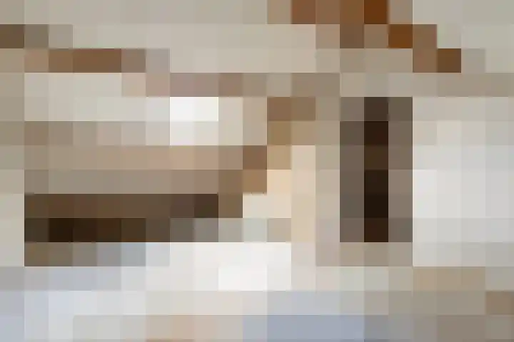 Keizerstraat 55 Putte thumbnail 23