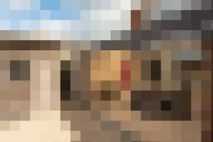 Keizerstraat 55 Putte thumbnail 27