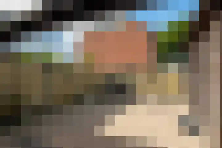 Keizerstraat 55 Putte thumbnail 29