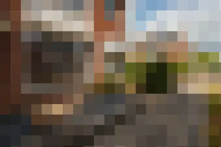 Keizerstraat 55 Putte thumbnail 31