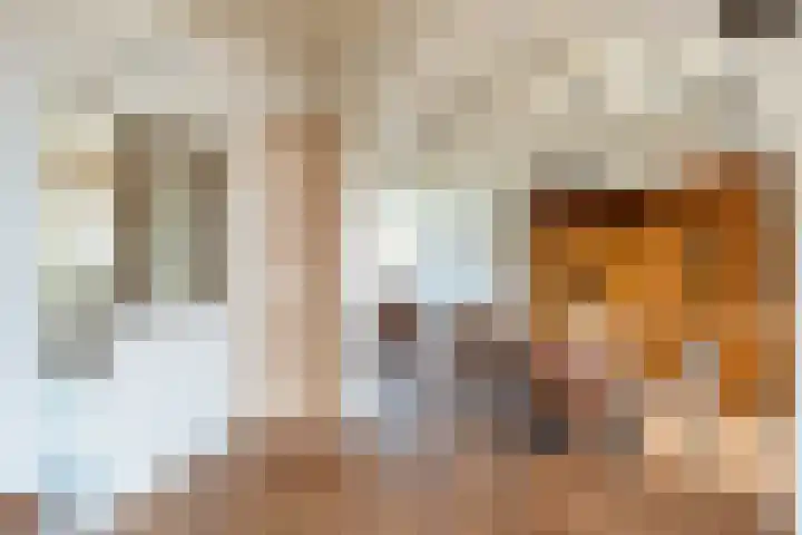 Keizerstraat 55 Putte thumbnail 5