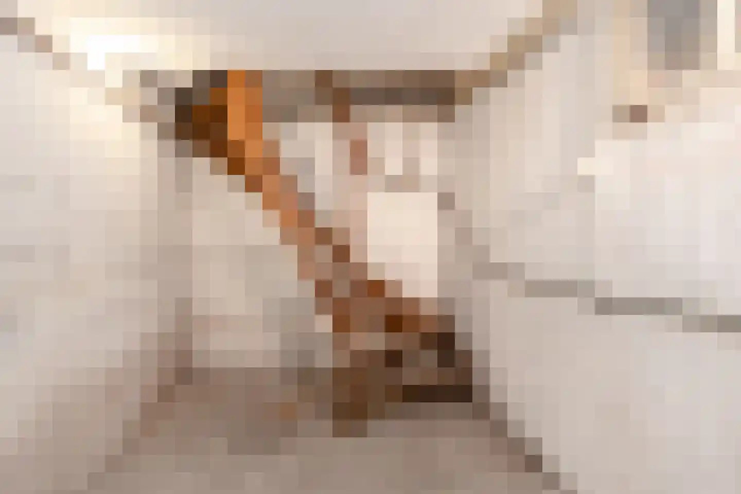 Keizerstraat 6 Wessem thumbnail 8