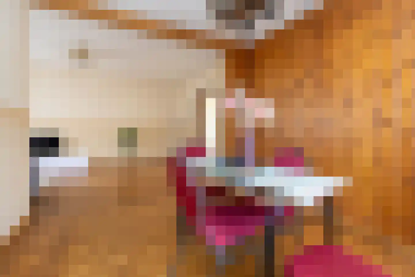 Keizerstraat 6 Wessem thumbnail 9