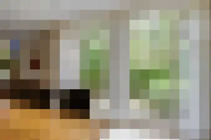 Keizerstraat 8 Deurne thumbnail 13