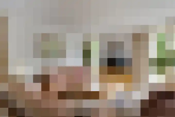 Keizerstraat 8 Deurne thumbnail 14