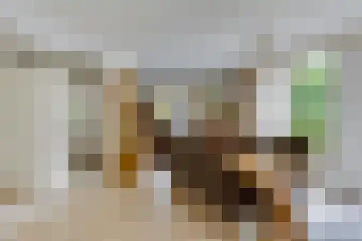 Keizerstraat 8 Deurne thumbnail 17