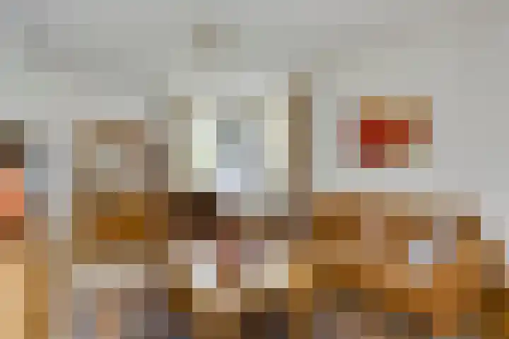 Keizerstraat 8 Deurne thumbnail 19