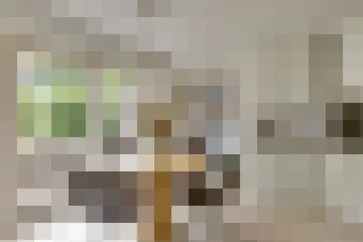 Keizerstraat 8 Deurne thumbnail 21