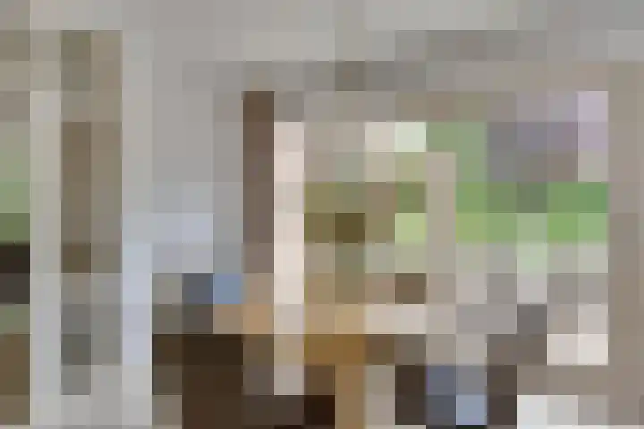 Keizerstraat 8 Deurne thumbnail 22