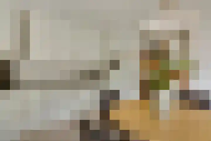 Keizerstraat 8 Deurne thumbnail 23