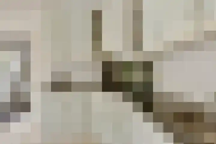 Keizerstraat 8 Deurne thumbnail 26