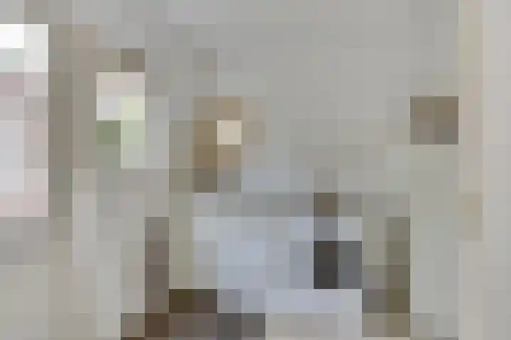 Keizerstraat 8 Deurne thumbnail 27