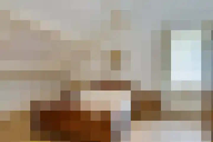 Keizerstraat 8 Deurne thumbnail 32