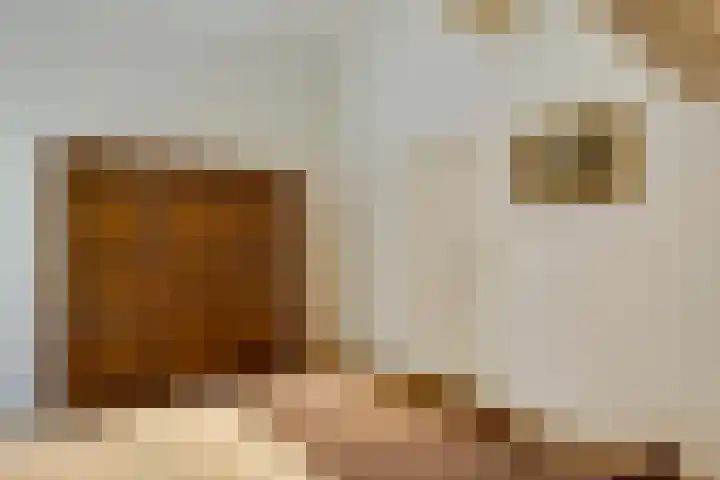 Keizerstraat 8 Deurne thumbnail 33