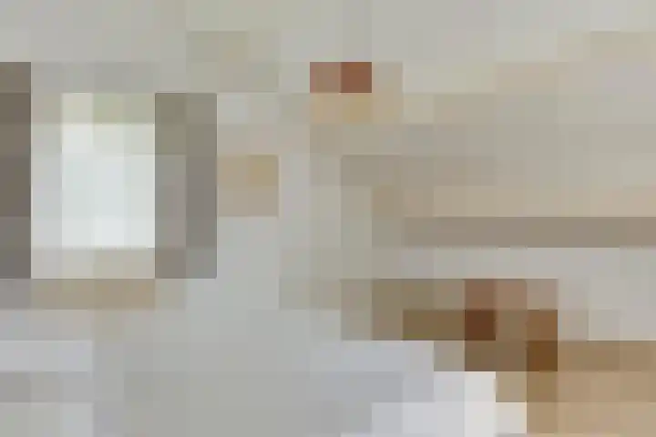 Keizerstraat 8 Deurne thumbnail 34