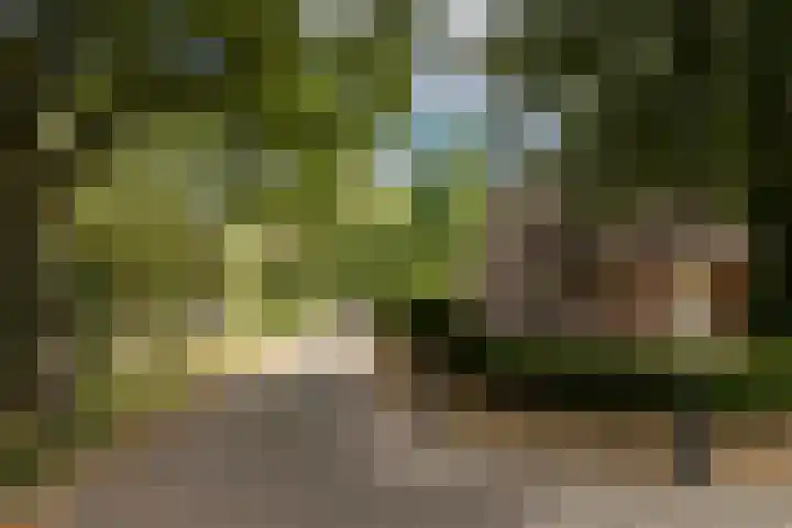 Keizerstraat 8 Deurne thumbnail 4