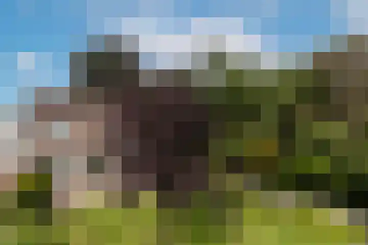 Keizerstraat 8 Deurne thumbnail 43