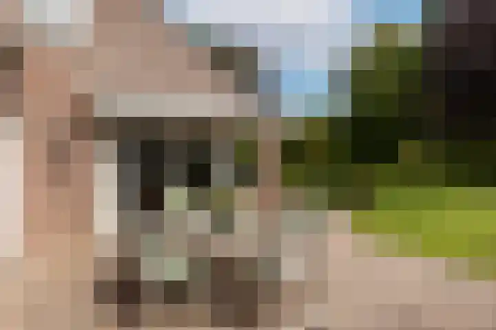 Keizerstraat 8 Deurne thumbnail 45