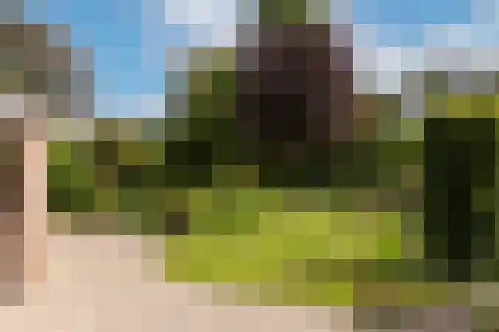 Keizerstraat 8 Deurne thumbnail 47
