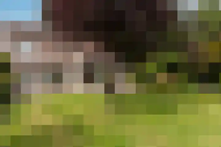 Keizerstraat 8 Deurne thumbnail 48