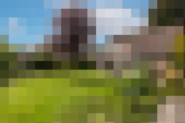 Keizerstraat 8 Deurne thumbnail 49