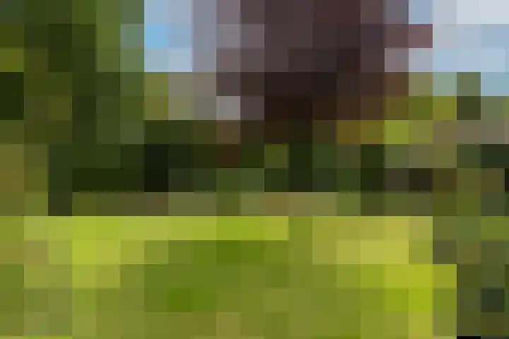 Keizerstraat 8 Deurne thumbnail 50