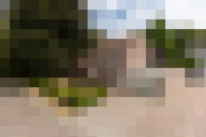 Keizerstraat 8 Deurne thumbnail 8