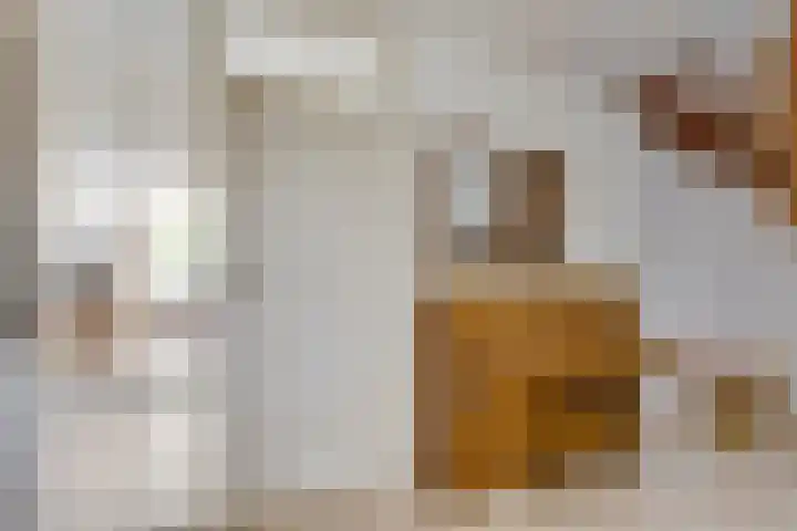 Keizerstraat 8 Deurne thumbnail 9