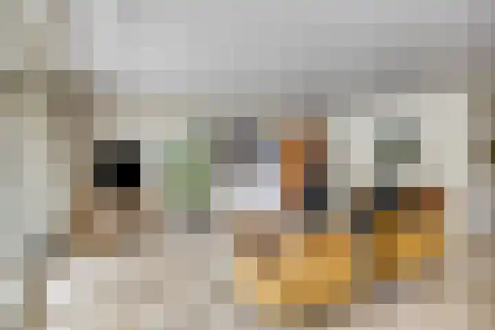 Keizerstraat 8 Rosmalen thumbnail 10