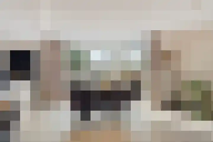 Keizerstraat 81 Putte thumbnail 15