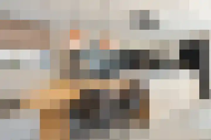 Keizerstraat 81 Putte thumbnail 18