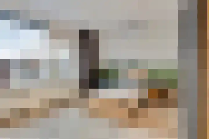 Keizerstraat 81 Putte thumbnail 26