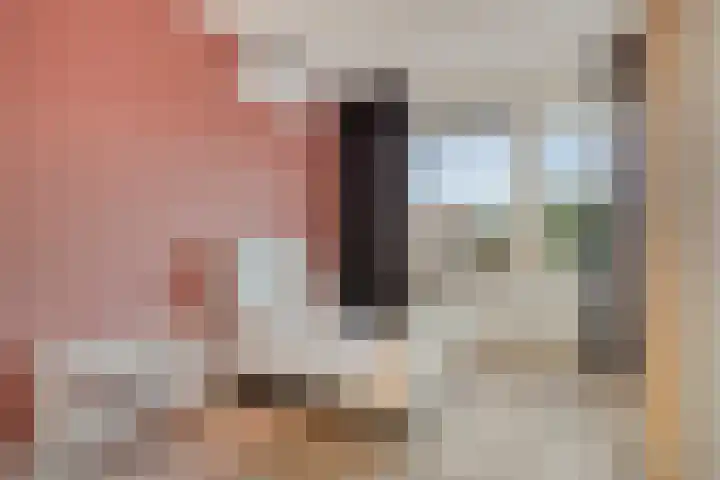 Keizerstraat 81 Putte thumbnail 30