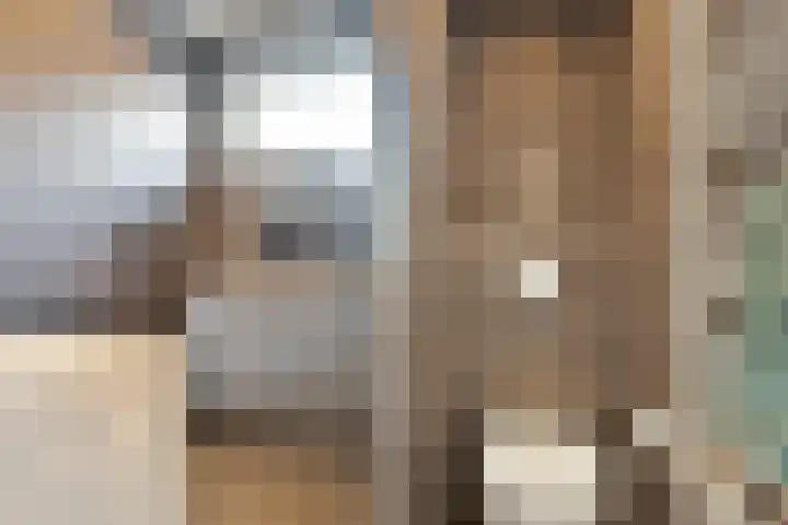 Keizerstraat 81 Putte thumbnail 32