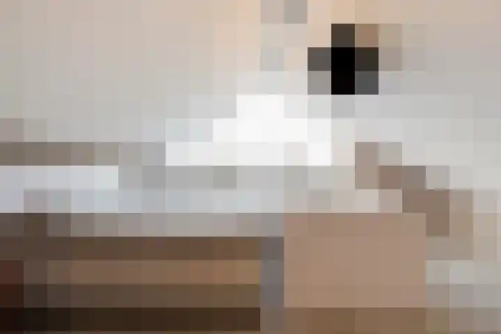 Keizerstraat 81 Putte thumbnail 34