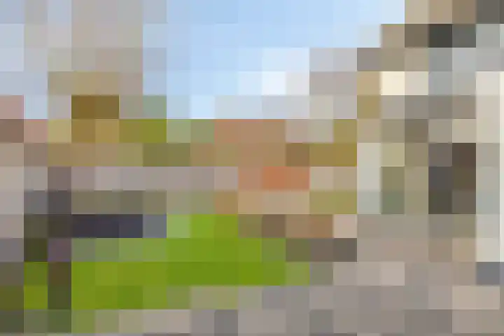 Keizerstraat 81 Putte thumbnail 37